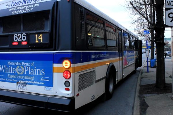 Photo of Beeline Bus